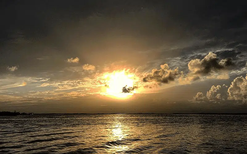 Florida Keys Boat Tour Islamorada Forever Young