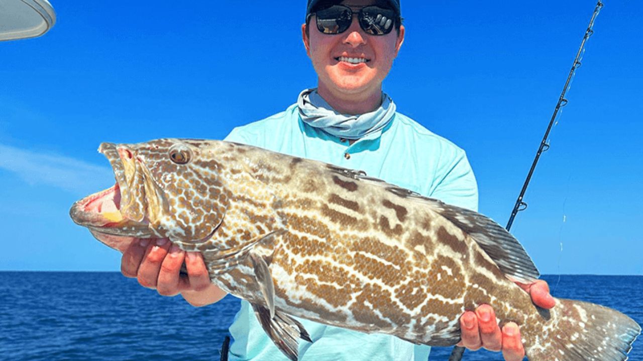 Angler holding a large grouper during a fishing charter off Islamorada in the Florida Keys.