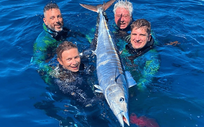 Four spearfishers hold a large wahoo in bright blue water.