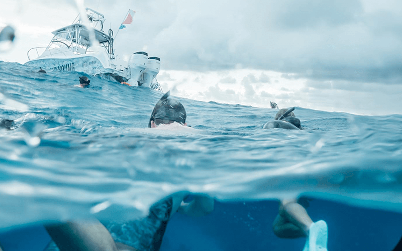 Key Largo Snorkeling Charter Florida Keys