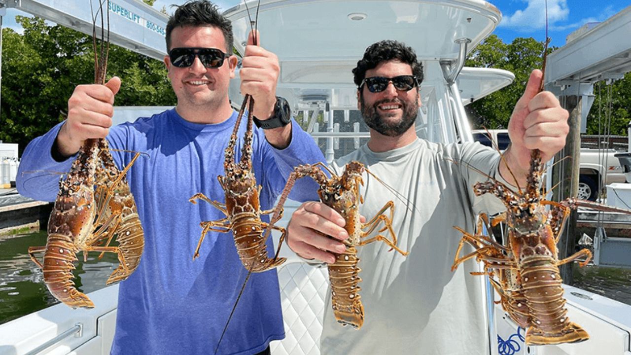 Two lobster hunters holding freshly caught spiny lobsters on a boat in the Florida Keys.