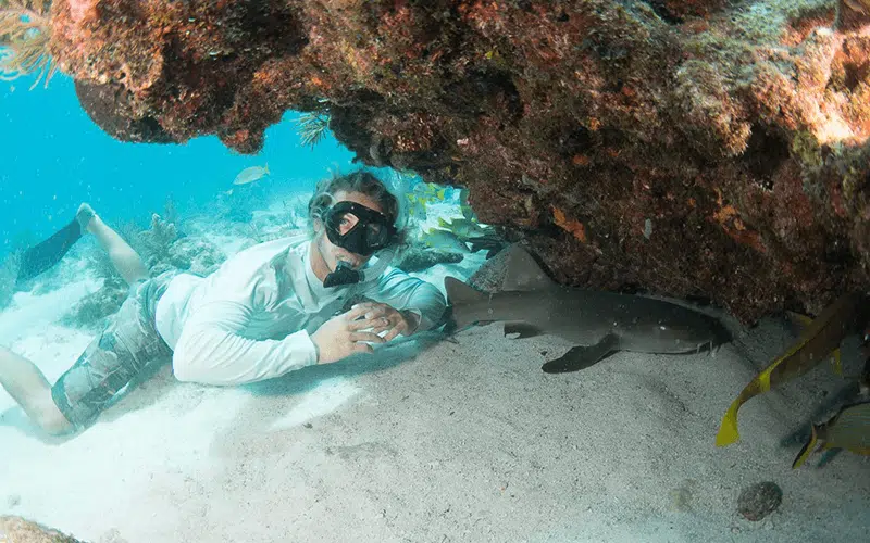 Snorkeling Key Largo Florida Reefs Forever Young