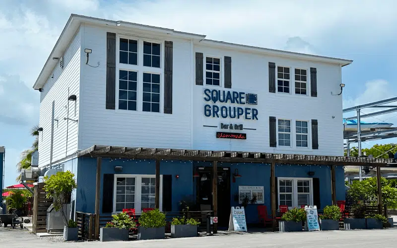 Square Grouper Islamorada, FL