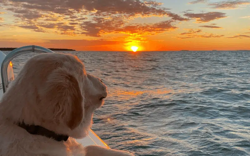 Top Rated Sightseeing Tour Islamorada Forever Young